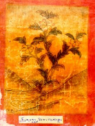 Initiation Cards: Longsal Nyingpo Terma Cycle